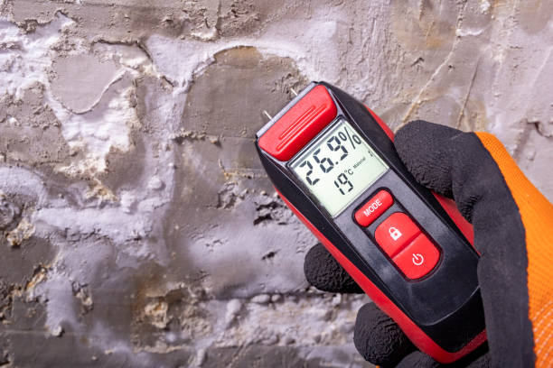 Best Toxic Mold Removal  in Hagerstown, MD